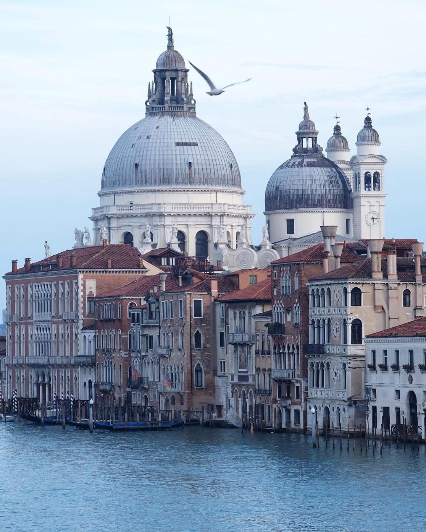 Hotel President Venezia Mestre Zewnętrze zdjęcie